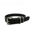 Dog Collar in Black 25mm