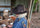 Bush Hat