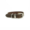 Silver Buckle Dog Collar 28mm - Kakadu Traders