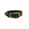 Gold Buckle Dog Collar 28mm - Kakadu Traders