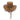 Chestnut