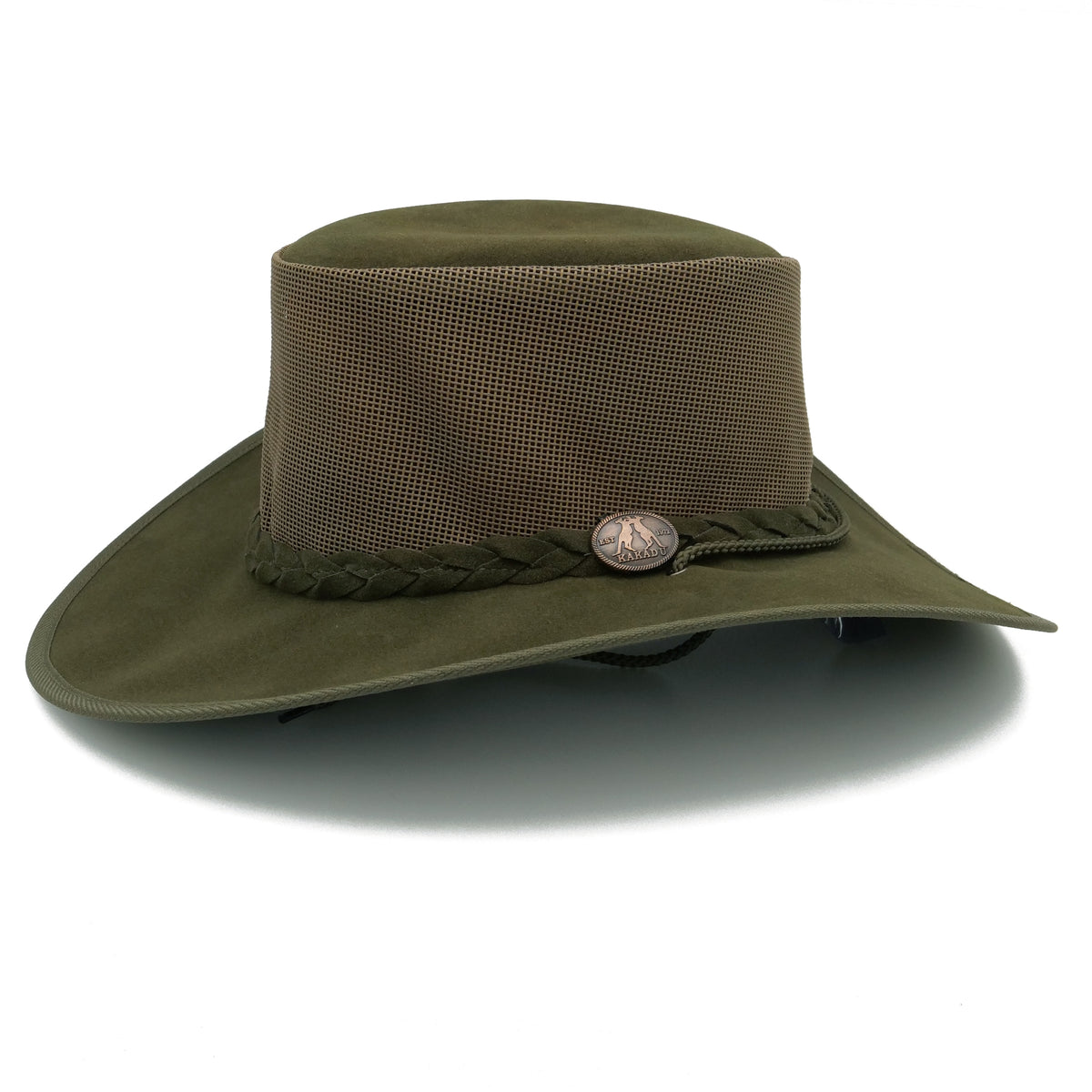 Olive