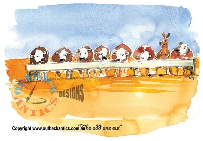 "Odd one out" Wrapped Greeting Card - Kakadu Traders Australia